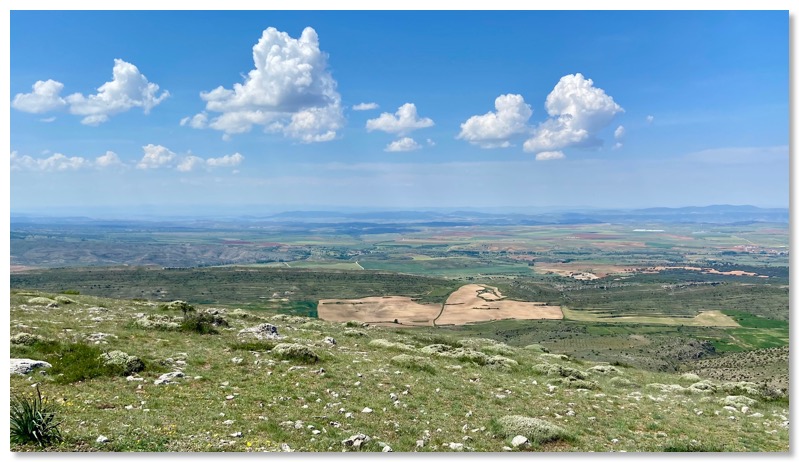 Modorra_100